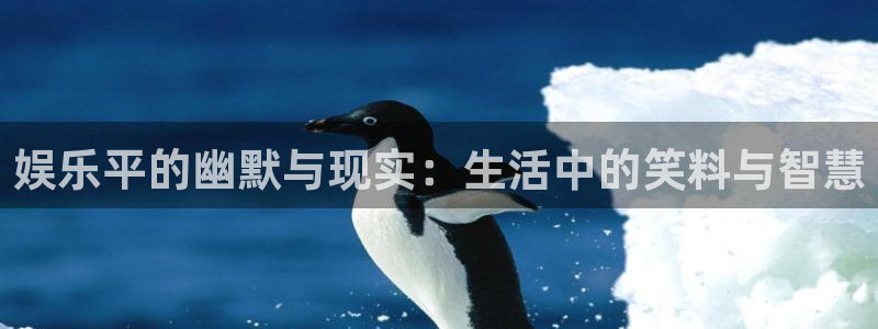 upload/20250701114914.jpg
