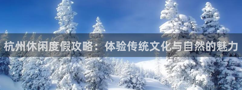 众腾娱乐：杭州休闲度假攻略：体验传统文化与自然的魅力